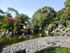 草加松原松並木から元淵江公園まで歩いてみた☆桜花亭カフェ☆2019/10/30