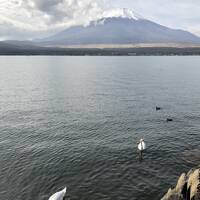 エクシブ山中湖 ラージ(Hタイプ) 1泊2日