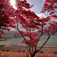 最高の紅葉時期の奥入瀬渓流と十和田湖湖畔散策そして日本キャニオンの旅