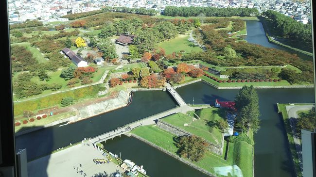 10月の3連休に行こうと思っていた函館。<br />切符も手配してたのに台風のために新幹線が運休に(T-T)<br />悩んだ末に11月の3連休に行っちゃうことにしました!<br />いつものHさんとJ、新顔の若手Nと共に日帰りで秋の函館を楽しんできました(^_^)v<br /><br />1 函館朝市で海鮮を食す。<br />2 最上寺で御朱印をいただく。<br />3 五稜郭タワー&五稜郭公園を楽しむ。<br />4 元町で歴史的建造物を見る。<br />5 カリフォルニアベイビーでシスコライスを食 <br /> す。<br />6 ベイエリアで土産を買う。