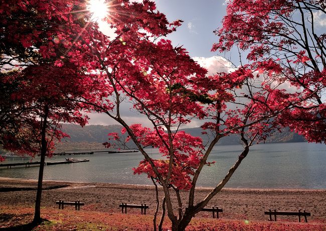 今年の紅葉散策は時期的に少し早いのではと思いつつ出かけた。<br />8月頃にホ-ムパ-ジ等を参考にし計画を立てたので、今年の<br />気象状況に期待をかけたが、関東地方は台風来襲で甚大な被害が<br />関東地方で起きる気象状態の中で出かける事となった。<br /><br />やっと、朝晩と日中の温度差が多少出て来たので、期待半分の<br />中での一泊旅となった。<br />旅の予定は下記の通り。<br /><br />第一日目<br />大宮駅 07:42発「はやぶさ101号」<br />盛岡駅 10:01着<br />十和田湖湖畔散策<br />奥入瀬渓流散策<br />大鰐温泉:青森ワイナリーホテル宿泊<br /><br />第二日目<br />ホテル 8:50発<br />鶴の舞橋<br />千畳敷海岸散策<br />千畳敷駅(五能線乗車)乗車<br />深浦駅 下車<br />白神山地・十二湖散策<br />北上駅 19:03発「やまびこ56号」<br />大宮駅 21:34着<br /><br />天候に恵まれ、両日とも晴天の中、暖かく風も無く<br />また、期待に反して最高の紅葉を鑑賞出来満足した<br />旅であった。<br />奥入瀬渓流散策では撮影用に三脚を持参したが、カメラと<br />三脚を固定する雲台が合わずレンズの手振れ防止を頼りに<br />撮影。(落下防止ねじが雲台より小さかった為)<br />翌日は、鶴の舞橋・五能線乗車・白神山地十二湖と廻ってて<br />北上駅より一路大宮へ帰ってきたが、今回の旅行の収穫と言えば<br />予期せぬ最盛期の紅葉風景を堪能できた事。<br /><br />「日本キャニオン」と 説明を受けた箇所があったので帰宅して<br />調べた処、本当にその名称があったのには驚き。<br />そこは、最高の紅葉絶景スポットであった。<br /><br />この二日間、天候に恵まれ楽しい旅をすることが出来た。<br />日頃の行いに感謝して旅行記を終わります。<br />ありがとうございました。<br /><br />