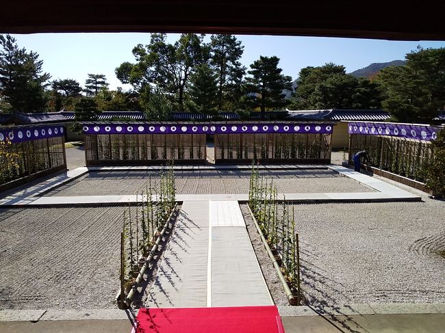 旅日記。<br />私の旅行記を読んでくださった皆様、ありがとうございます。<br />また、これまで「いいね」を付けていただいた皆様、フォロワーの皆さまに感謝申し上げます<br />季節ごとに心を開放する嵯峨野歩き。<br /><br />