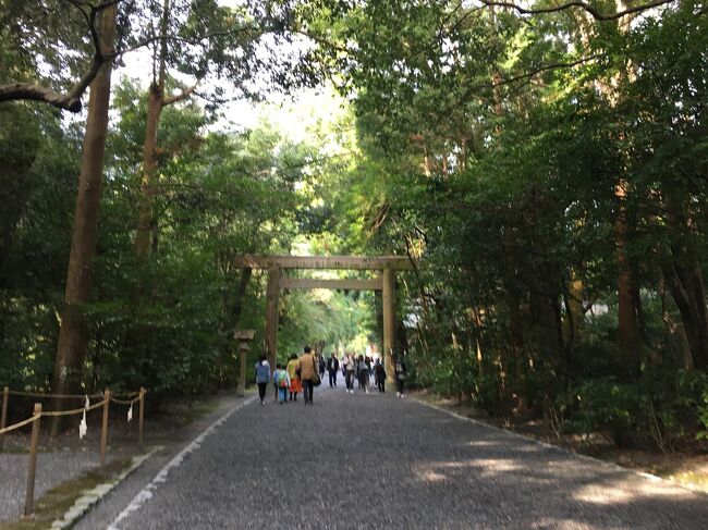 小さい頃、母からこんな話を聞きました。<br /><br />かつて日本の庶民は自分の生まれた土地からほとんど外に出ることがなかった。自分の生まれた土地で育ち、働き、死んでいく。そんな日本人が一生に一度だけ故郷を離れるのが、お伊勢参りだった。<br /><br />つまり、お伊勢参りとは、日本人にとっての旅の原点だったのです。その話を聞いてから、ずっと心のどこかで憧れていた伊勢神宮。その夢は、ふいに叶いました。<br /><br />【旅程】<br />11/3 <br />5:30 出発<br />6:30 樫原神宮前発(近鉄急行)<br />9:00 宇治山田駅着<br />9:15 伊勢神宮外宮を参拝<br />10:00 伊勢神宮内宮を参拝<br />11:00 おはらい横丁とおかげ横丁を散策<br />12:30 伊勢市駅発(近鉄特急)<br />15:30 帰宅<br /><br />【費用】<br />交通費 自宅~伊勢市 5000円<br />交通費 伊勢市内バス 720円<br />食費 おはらい町で食べ歩き 800円<br />食費 おにぎり 320円<br />真珠のイヤリング 2200円