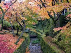 定番スポットを巡る京都・紅葉の旅　②　　　（東福寺・鴨川）