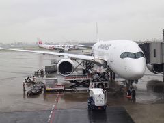 A359＋B738、羽田から福岡経由那覇まで、新機材の乗り心地と空港を楽しむ。