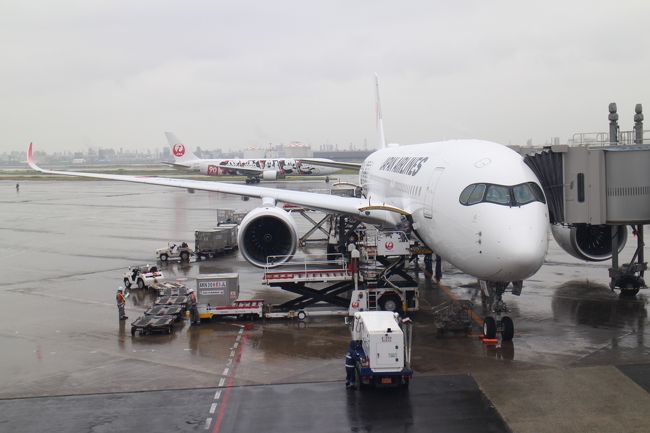 今回はJALの新機材A350-900搭乗をメインに福岡空港経由で那覇に飛ぶ。<br />すでにFクラスやクラスJの華やかな旅行記が賑やかだが、今回は庶民的?に普通席を利用する。普通席でもA350の居住性は今までにないもので飛行機での移動が楽しくなる。<br />福岡からはJTAのB737-800、天候はあいにくの雨や曇り、午後でもあり景色を楽しむことはできなかった。<br />A350をメインに空港の様子などをお楽しみください。