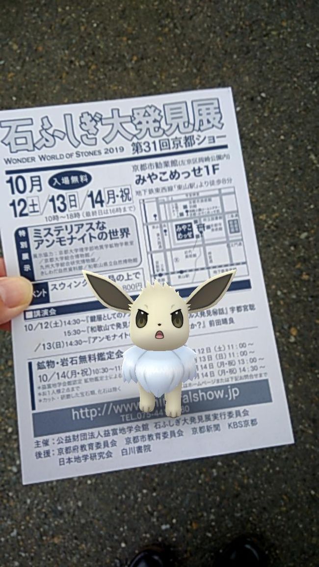 10月半ば、京都へイベント巡りに出かけました。<br />当初は京都市内のみの予定でしたが、当日お隣滋賀県で大津祭開催だったため最後に大津市まで足を伸ばした一日の記録。<br />日帰り旅行、移動は主に電車です。<br /><br />(表紙写真はイベント巡りのきっかけになったミネラルショーお知らせのはがき、と記念撮影したポケモンGOイーブイ)