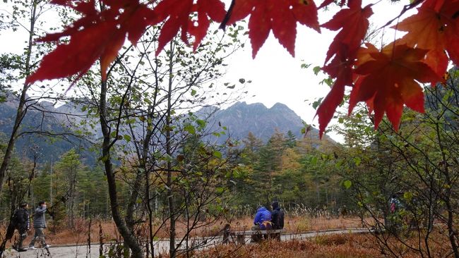 黄葉、草紅葉を愛でる　上高地　早朝散策