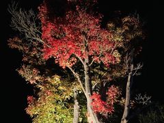 富士山五合目と河口湖紅葉まつり