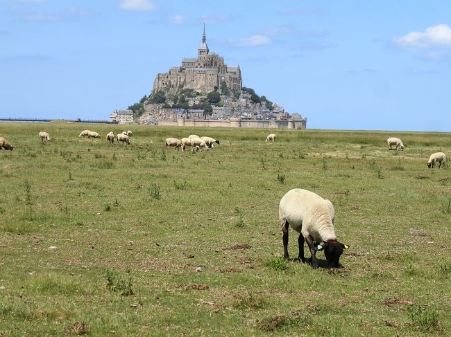 フランスで1日時間ができた。<br />そこでレンタカーを借りてモンサンミッシェルへ行くことにした。<br />パリから結構遠くて約400Km。4時間ほどかかった。それでも道はとても整備されていて走りやすい。高速道路の料金支払いがいくつかあって、それごとに止まる必要があるが、のどかな農村風景をみながらの景色は最高である。<br />モンサンミッシェルに着くと、それは素晴らしい景色が広がっているが、その周辺もこれまた素晴らしい。Cap Frehel岬近くに宿泊したが、海が美しい。<br />ご夫婦で経営されているホテルで、奥様は日本びいきの方。とても気持ちよく泊まることができた。また行きたくなる地域である。