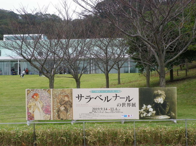 横須賀の観音崎にある横須賀美術館を11月3日に訪問です。この日は太っ腹な横須賀市が無料で公開しているのでラッキーです。絵を鑑賞して、神社に行って、この走水エリアで有名な地元味見食堂さんでアジフライです。<br />ここは大きなアナゴ丼で有名ですが、迷った末アジフライにしました。この日は数量限定のアジもうまいです。一緒の相棒はアナゴ定食で、少しつまませていただきました。