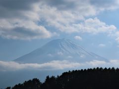 久しぶりの家族旅行は河口湖へ