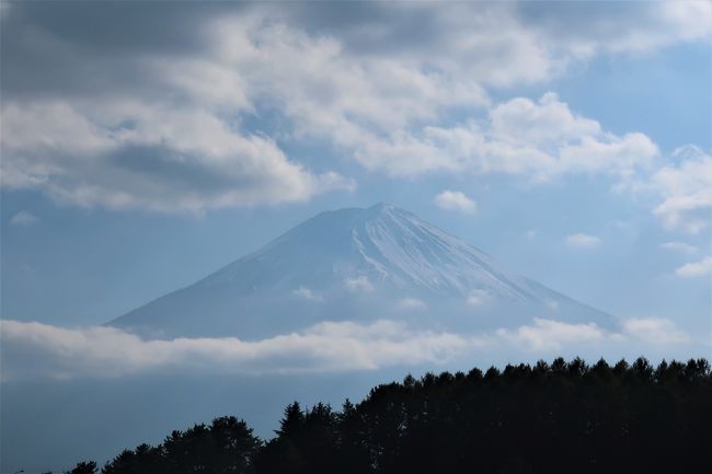 家族みんなでの旅行は20年以上振り。親が元気なうちに行っとこうとなりまして