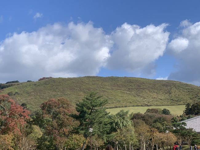 It was a morning walk in search of autumn leaves, but it was a walk in the green one week earlier.<br />紅葉を求めてのモーニングウォークだったが、一週間早い、緑の中の散策でした