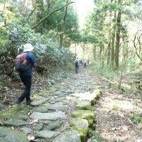 箱根旧街道を歩く