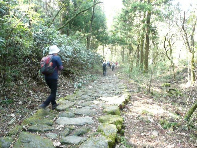 実施日： 2019.11.2(土)<br />ウォ―キング出発地：箱根旧街道甘酒茶屋<br />ウォーキング目的地：箱根町港<br />歩行距離：約6km<br />行程の概要：<br />箱根湯本駅から箱根登山バスに乗って甘酒茶屋で下車し、ここでストレッチをした後、10時半頃に箱根旧街道を歩き始めました。江戸時代に草履を履いて歩いた旅人のことに思いを馳せながら、林に囲まれた石畳の登り坂に足を踏み入れました。石の表面は前々日の雨で湿っており形状も種々様々だったので、スリップしない様に歩くのが大変でした。途中から下り道に変わりましたが、石畳は続いていました。<br />出発してから1時間ほど経ったころ、湖畔の元箱根に到着しました。その後、眺めの良い丘の上にある恩賜箱根公園で昼食休憩を取りました。休憩後は、箱根関所跡を経由して、目的地の箱根町港に14時少々前に到着しました。<br />ここで湖に浮かぶ遊覧船などの眺めを楽しんだ後、箱根登山バスに乗って箱根湯本駅に戻りました。<br />観光スポット：<br />１．	甘酒茶屋<br />２．	石畳道<br />３．	権現坂<br />４．	一の鳥居<br />５．	元箱根港<br />６．	一里塚<br />７．	箱根旧街道杉並木<br />８．	恩賜箱根公園<br />９．	箱根関所跡<br />10.　箱根駅伝往路ゴール標識<br />11.　箱根町港<br /><br />以上<br />