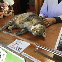 初めての四国 徳島から香川 そして愛媛