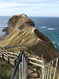 初北海道4泊5日ひとり旅　（3日目 積丹半島(島武意海岸　神威岬)　小樽　）