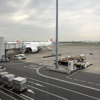 A350で福岡へ