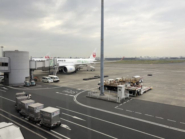 エアバス350で福岡へ。そしてミクにワールドスタジアム北九州も