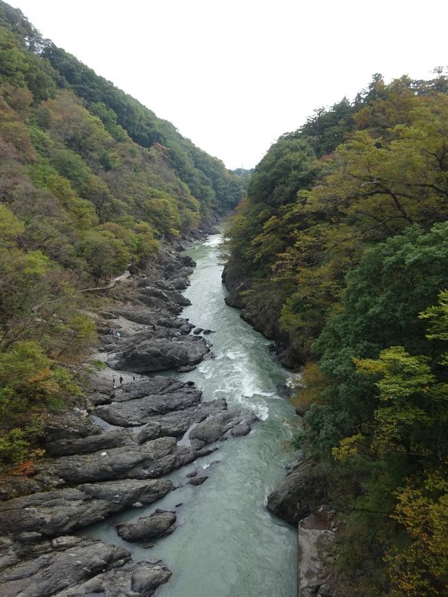 又、又、バスツアー　紅葉を見に行ったけれどまだでした～(>_<)　高津戸峡　渡良瀬鉄道　草木湖　宝徳寺　出流原弁天池