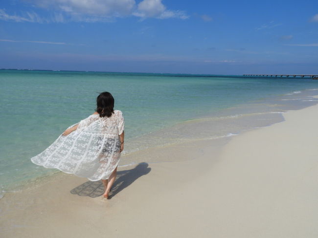 ほとんどが17ENDか三角点。<br />毎日の日課でした。<br /><br /><br />みやこ下地島空港への飛行機が980円で取れたための旅行です。<br />帰りの飛行機が安く取れずどうしようかと思っていたら209円セールがあり取れラッキー。<br />レンタカーも5日間5900円と11日間10900円の16800円(免責込)と激安。<br />宿3泊しか決めずに出発。<br /><br />15泊16日旅行代金合計 78665円<br /><br />交通費小計 29774円<br />飛行機 成田 下地島 990円+380円+540円+600円=2510円<br />バス みやこ下地島空港 宮古空港 650円<br />レンタカー5日間免責込 7900円ー2000クーポン=5900円<br />ガソリン代 4349円 523.9km 29.59L 17.70km/L<br />レンタカー11日間免責込 13900円ー3000クーポン=10900円<br />ガソリン代 5292円 663.5km 33.41L 19.85km/L<br />ガソリン代 1854円 211km 11.86L 17.79km/L<br />バス 宮古空港 西里 200円<br />バス パイナガマビーチ みやこ下地島空港 480円<br />飛行機 下地島 成田 209円+380円+540円+600円=1549円<br /><br />★レンタカー15日間 1402.5km 74.86L 18.73km/L<br /><br />宿泊費小計 36410円<br />1泊目 素泊 2160円<br />2泊目 車泊 0円<br />3泊目 素泊 4400円<br />4泊目 素泊 2750円<br />5泊目 素泊 3000円<br />6泊目 素泊 3000円<br />7泊目 素泊 3000円<br />8泊目 素泊 3000円<br />9泊目 素泊 3000円<br />10泊目 素泊 3000円<br />11泊目 素泊 3500円ー400ポイント=3100円<br />12泊目 素泊 2500円<br />13泊目 素泊 3500円ー3500ポイント=0円<br />14泊目 未定 3500円<br />15泊目 素泊 4500円ー4500ポイント=0円<br /><br />飲食費小計 11381円(自炊含む)<br /><br />観光費小計 1100円<br />宮古島温泉 900円<br />海宝館 200円(割引やポイント利用あり)