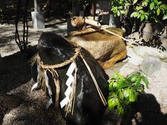 天王寺、堀越神社にお参り