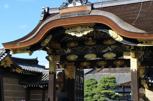 元祖世界遺産とも言える、日本では早くに世界遺産に指定されました。、十五代将軍が諸大名を前にして歴史的な転換を自ら申し伝えた歴史的な場所でもあります。城と称していますが、戦いとは無縁でした。ある意味で、徳川二百六十五年の治世を象徴していると言えるのかもしれません。