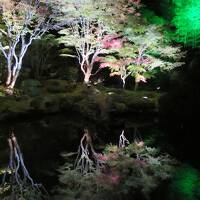 秋の蔵王と松島紅葉ライトアップ