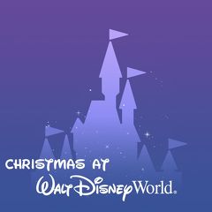 2019クリスマスＷＤＷ旅行☆準備編1☆WDW関連の予約