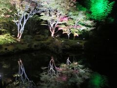 秋の蔵王と松島紅葉ライトアップ