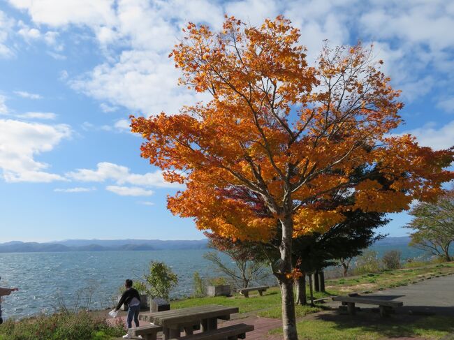 11月の3連休を使って、福島・山形・宮城の3県を観光しました。<br /><br />11月2日に晴れの予報があったため、1日の夜に郡山まで移動し、2日はフルに猪苗代・裏磐梯を観光できる予定を組みました。<br /><br />定番の野口英世記念館の後は、猪苗代で行ったことのない場所を観光し、裏磐梯へ。五色沼散策路をゆっくり楽しみました。