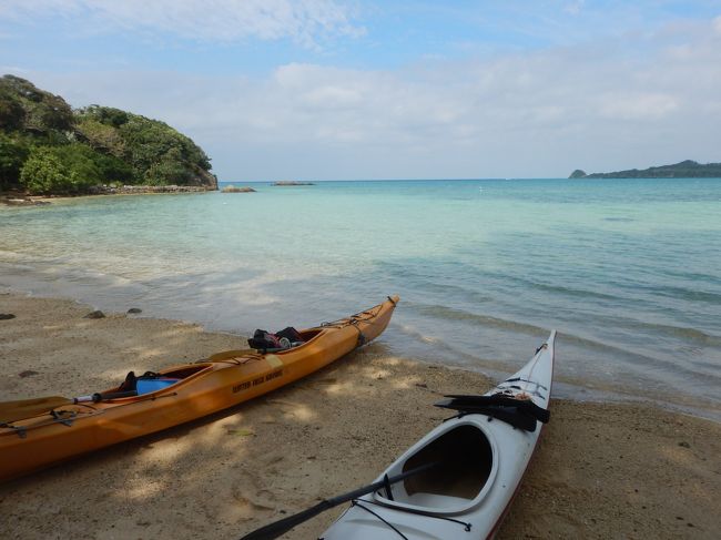 毎年恒例の秋の沖縄旅行ですが、今回の石垣島は往復とも那覇経由なので、久しぶりに那覇にも滞在し「美ら海水族館」などの観光も楽しんできました。<br /><br />10/29(火) JAL 915(11:45～14:35)／RAC705(15:50～17:05)   アートホテル石垣島泊<br />10/30(水) ダイビング(強風などのため、影響を受けにくい黒島周辺で3本)<br />10/31(木) パナリで釣りとシュノーケリングの予定が、天候により釣りは中止でシュノーケリングのみ<br />11/01(金) 「白保」でシーカヤックとシュノーケリングの予定が、天候により「底地ビーチ沖」での開催に変更<br /><br />11/02(土) JTA610(12:45～13:40)   那覇セントラルホテル泊<br />11/03(日) 定期観光バスで南部観光(おきなわワールド、おきなわワールド内の「健康バイキング ちゅら島」でランチビュッフェ、平和祈念公園、ひめゆりの塔、いとまん道の駅)<br />11/04(月) 定期観光バスで北部観光(琉球村、万座毛、美ら海水族館、フルーツランド、ゆがふいんおきなわでランチビュッフェ)<br />11/05(火) JTA906(12:25～14:40)  <br /><br />今回は台風ではありませんが、北東の風が強く海はうねりを伴って波が2.5メートル位だったので、ダイビングではマンタポイントに行けず、楽しみにしていたパナリでの釣りも中止、シーカヤックの開催地が変更になったりと、予定通りにはいきませんでしたが、それでも3日間とも海で遊べたので良かったと思います。<br /><br />＊その①は10/29～11/01の旅行記で、11/02～11/05の旅行記はその②に続きますので、そちらもご覧下さい。