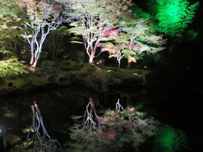 11月の3連休を使って、福島・山形・宮城の3県を観光しました。<br /><br />この日は紅葉の蔵王を見たあと、松島の円通院ライトアップへ。<br />蔵王は少し遅れ気味の紅葉が綺麗に見えた反面、御釜のある山頂では木々も凍っていて温度計は氷点下を記録していました。<br /><br />途中、震災の復興過程にある街並みなども見学でき、有意義な1日でした。