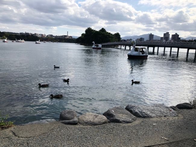 福岡での三連休・最終日、娘とショッピングして大濠公園のロイヤルガーデンカフェでランチ、散歩しました。