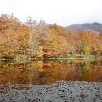 刈込池と鳩ヶ湯温泉