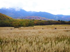 くじゅう タデ原湿原 連休の最終日に ちょっとお出かけしてみました。