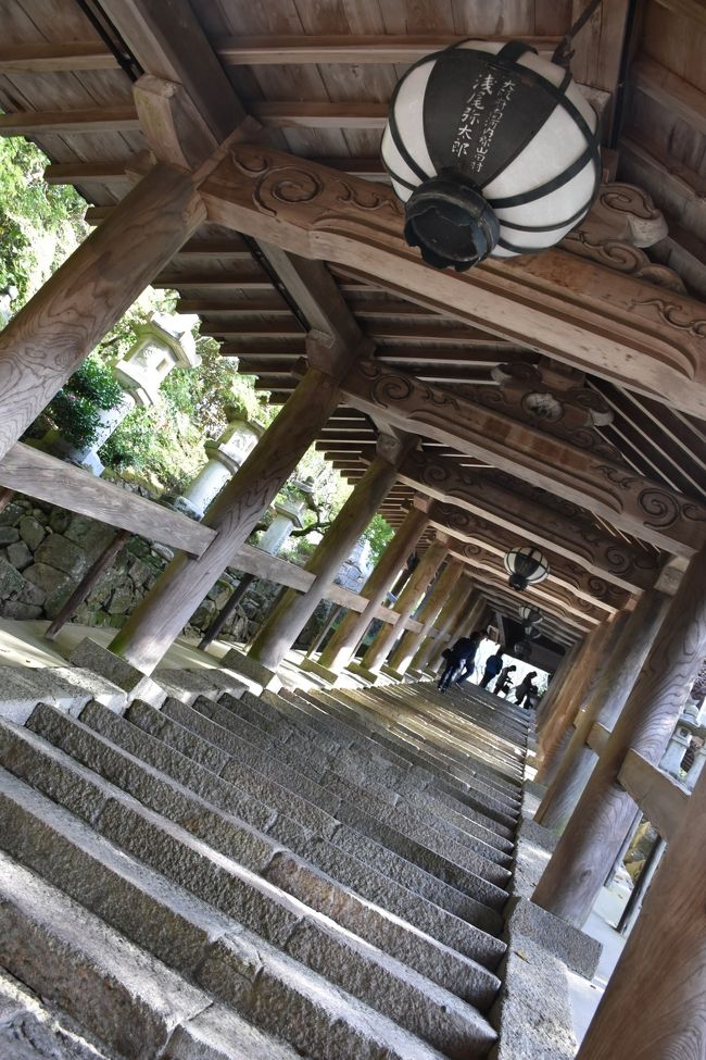 小学生ぶりの奈良。<br />ずっと再訪したかった街。<br />私の記憶よりも遥かに素晴らしいところ。<br />古都の美しさを知りました。<br /><br />一日目<br />最終便で大阪へ。<br />大阪ステイ。<br /><br />二日目<br /> 大阪から奈良へ。<br /> (電車で1時間弱!)<br /> 奈良公園<br /> 春日大社<br /> 東大寺<br /> 興福寺<br /> 法隆寺<br /><br />三日目<br /> 長谷寺<br /> 談山寺<br /> 大阪戻って551買って帰徳島!<br />