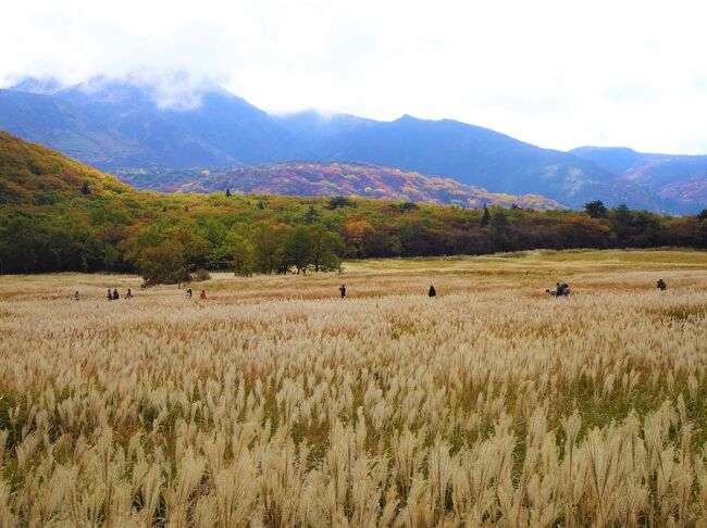 秋の3連休の最終日　絶好の行楽日和に　にちょっとお出かけしてきました。<br />山のふもとでは　もう紅葉が進んでいて<br />訪れた人々を　楽しませてくれました。<br /><br />「くじゅうビジターセンター」で休憩をし　<br />久し振りに　「タデ原湿原」へやって来ました。<br /><br />お目当ては湿原特有のヨシ群落や　ヌマガヤ群落が広がる湿原<br />木道が整備されており<br />この木道を歩きながら　自然の中に溶け込むタデ原湿原の素晴らしい大自然を体感してきました。<br />