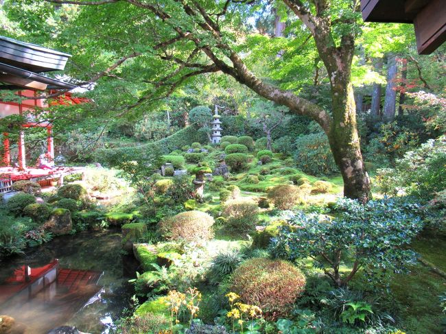 紅葉シーズン真っただ中に出張!なんて、そんなにうまくはいかないシーズン前。でも静かな大原で、お寺をひとり占めできました。少し色づき始めた時期の大原です。