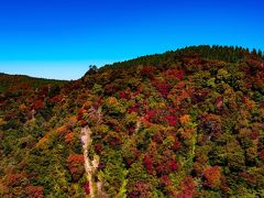 九酔渓の紅葉　2019