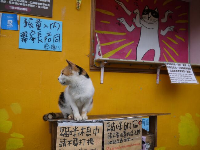 一人旅だから人を巻き込まずにいろいろやっちゃおうということで、猫好きなのでホウトンへ猫を見に、登山好きなので象山へトレッキングに、B級グルメの食べ歩きもしてきました。<br /><br />LCCに乗ってみたくて、さらにJAL国内線でFLYONポイントを貯めたくて那覇経由に。しかし3連休に那覇行きなんて安いはずなく、結果3連休明けに仕事を休んで帰ってきても、航空券代は合計で50,000円近くになってしまった。<br />乗継ぎも他社便なので上手くいくか不安だったし、普通の週末に午後半休くらいでもっと楽に安く台湾ならいけたなあと反省。でも沖縄グルメを楽しめるというメリットもありました。<br /><br />11/2 JAL 羽田11:45 那覇14:35<br />11/2 ピーチ　那覇16:40 桃園17:20<br />11/4 ピーチ　桃園9:35 那覇12:05<br />11/5 JAL 那覇7:35 羽田　9:45<br /><br />両替レート:1台湾ドル=3.714円<br />