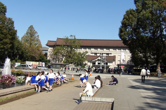 ようやく秋晴れが続くようになって上野公園(https://4travel.jp/travelogue/11555217)にも人出が戻ってきた。しかし、公園内の木々はまだ紅葉前だ。<br /> やはり修学旅行の学生が多く見受けられるが、制服組ばかりではなく、体操着姿のグループもいる。電車に乗らなくても来れる地元の中学生だろう。<br />(表紙写真は体操着姿のグループ)