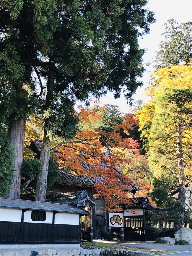 長野行く！行く！りんご狩り～♪<br />今年は4人で行って来ました(^o^)<br /><br />快晴の気持ち良い秋晴れの信州で、新蕎麦食べて、紅葉見て、お土産も色々買ってリフレッシュ♪<br /><br />午前中にリンゴ狩りをして、午後からは秋色をさがしに安曇野さんぽです(^-^)<br /><br />