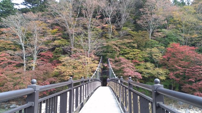 紅葉シーズンなので一泊二日で栃木県の塩原温泉郷に行ってきました。<br />バスが往復とも渋滞で、癒しというより疲れが増した旅でしたが、<br />渓谷の景色が素晴らしかったです。<br /><br />往復　JRバス<br />宿泊　ニュー八汐