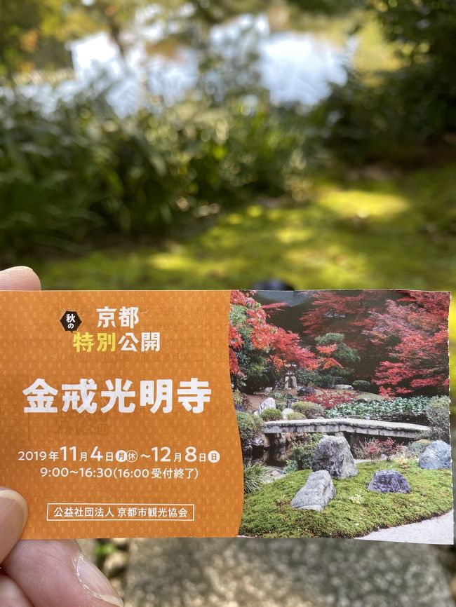 特別拝観の金戒光明寺は山門へ登り、京都市内一望でした(^-^)<br />真如堂は、紅葉&#127809;間近です