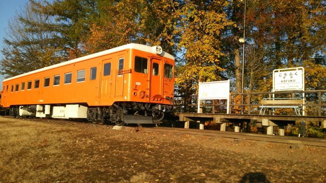 2019年10月に8泊9日をかけてJRの北海道フリーパスを使い、北海道一週をしてきた旅行記です。<br />今回の旅行の目的は大きく下の6つでした。<br /> ①クラウドファンディングで寄付した北斗星の客車を見てくる。【complete】<br /> ②未到達の襟裳岬に行く。【complete】<br /> ③厚岸で牡蠣を食べる。<br /> ④釧路湿原を見る。<br /> ⑤音威子府駅の「常盤軒」で蕎麦を食べる。<br /> ⑥引退した名馬アブクマポーロを訪ねる。<br />鉄分多めの記事になりますが、よろしくお願いいたします。<br /><br />大まかな行程は、<br />1日目 東京~木古内~茂辺地~函館~東室蘭~室蘭~東室蘭<br />2日目 東室蘭~苫小牧~鵡川~静内~浦河~様似~襟裳岬<br />3日目 襟裳岬~広尾~幸福~帯広←今ここ<br />4日目 帯広~釧路~根室~納沙布岬~根室<br />5日目 根室~釧路~釧路湿原~網走<br />6日目 網走~旭川~稚内<br />7日目 稚内~音威子府~浜頓別~宗谷岬~稚内~旭川<br />8日目 旭川~富良野~美瑛~深川~留萌~札幌~新夕張~千歳<br />9日目 千歳~東京