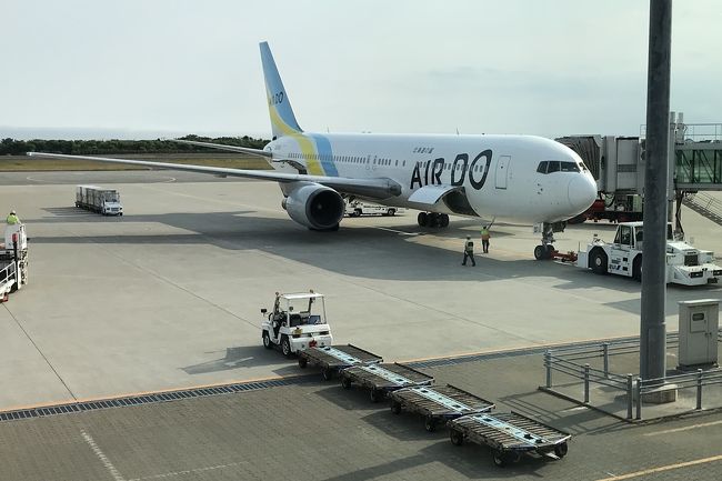 陸海空路で函館旅行してきたお話 10 飛行機で東京へ の部