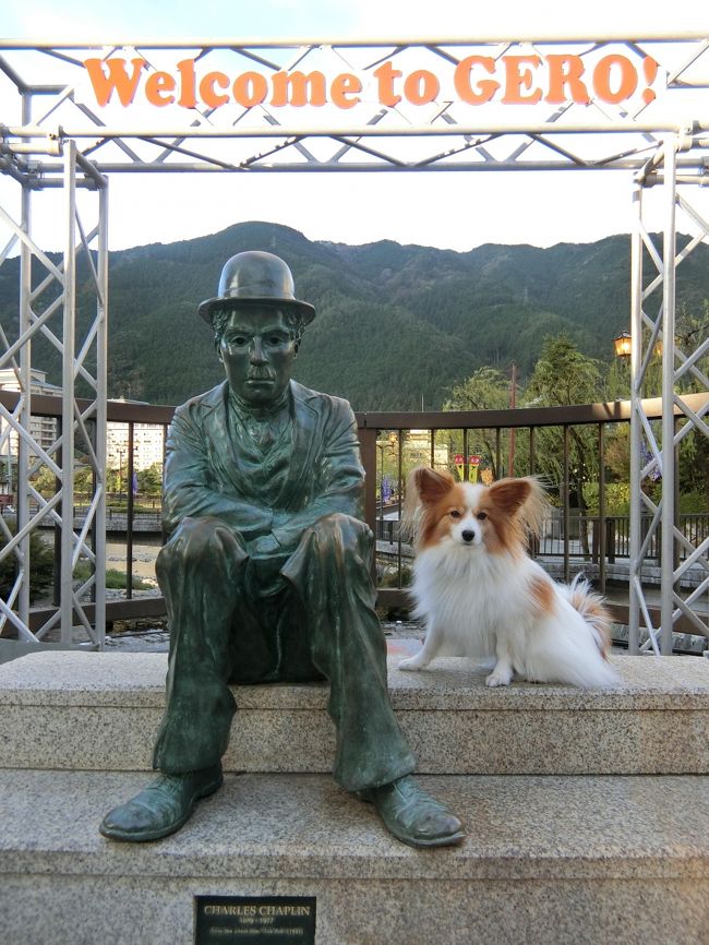 下呂から高山 ひらゆの森 東京へ 秋の3連休パピヨンみっくの犬旅 飛騨高山 古川 岐阜県 の旅行記 ブログ By 体育会系旅行部さん フォートラベル