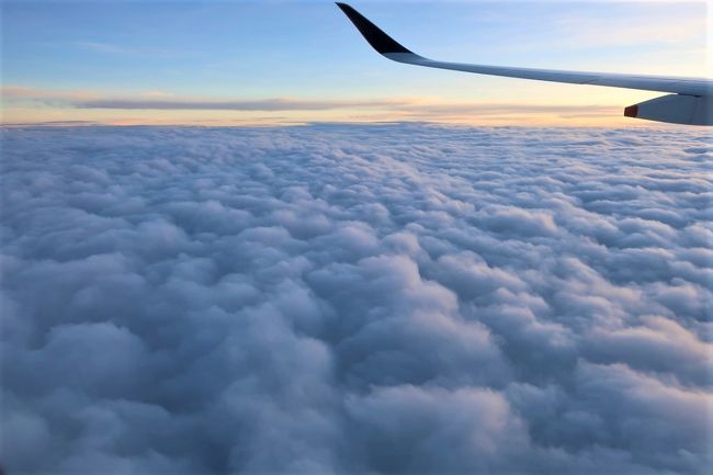 前回までの旅行記では、成田空港から経由地であるシンガポールまでの機内と機内食の様子をお届けしましたが、今回はシンガポールからクアラルンプールまでの機内の様子をお届けします。今回掲載した以外の飛行機の機内の様子については、私のブログで詳細を記載しておりますので、よろしければ是非ご覧ください。こちらです→https://familytravel.hateblo.jp/